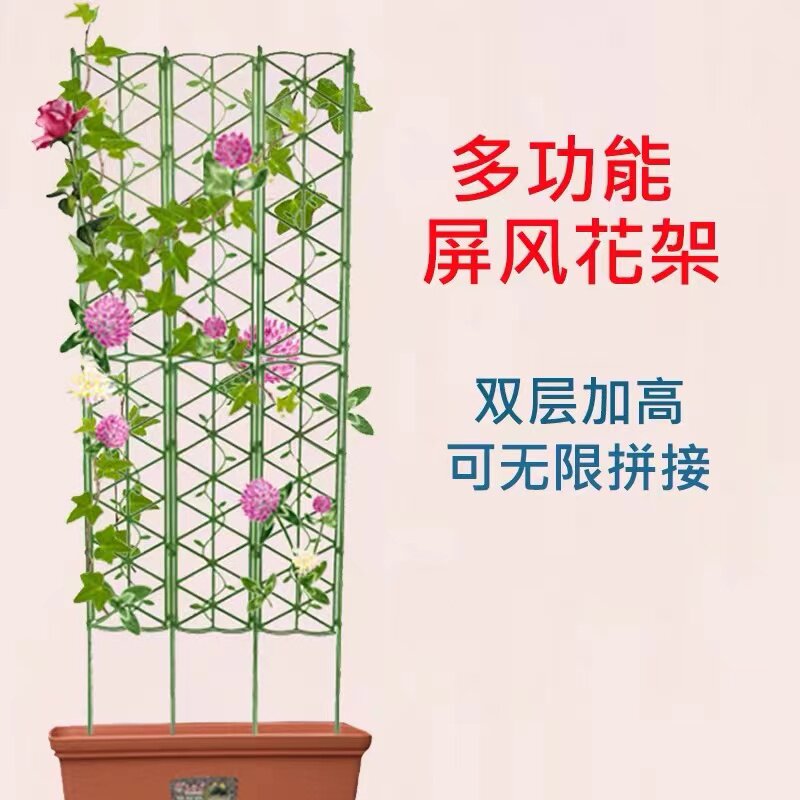 庭院爬藤爬藤月季室外图片