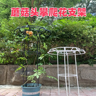 铁线莲爬藤架户外伞形支撑架玫瑰月季蔷薇植物花架蘑菇头攀爬架