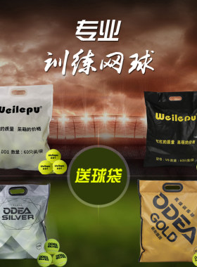 欧帝尔dd8高弹耐磨袋装60个网球
