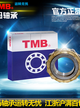 TMB天马RN205/M RN206 RN307 RN309 RN312 RN219/ECM减速偏心轴承