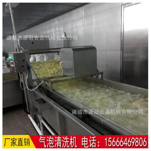 机洗全动黄桃清洗机 源冠辣椒大自枣荔枝气泡清洗 果蔬芒果清流水