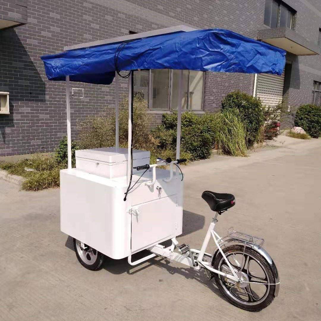 三轮车冰箱车车冰激330凌车移动倒冷饮售卖骑摊摆地摊自行可改电