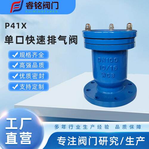 复合式微排气阀CAR排X口快速气睿铭阀P41X QB 1 量排气阀ARVX