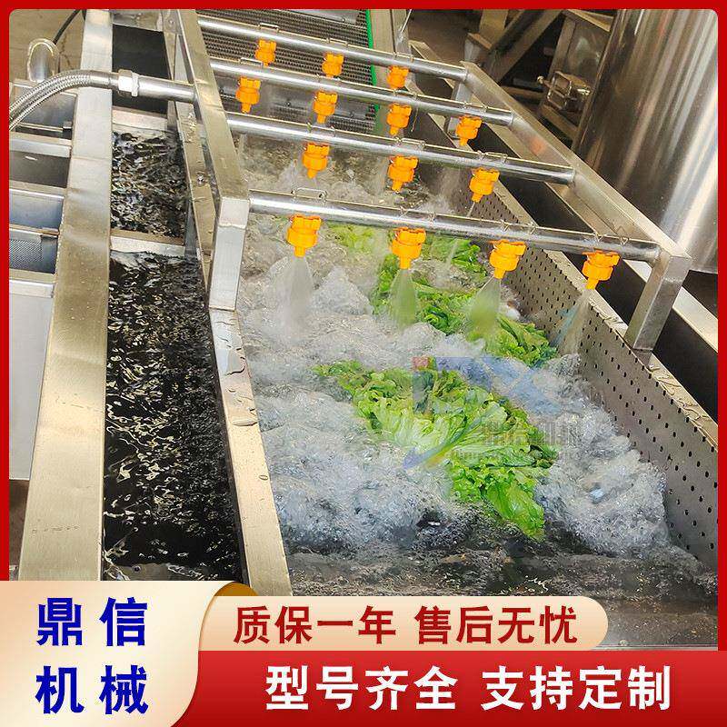 柑清洗机 药片GMZ全自动清洗机 生蚝橘去泥清洗设备清 山净菜洗设