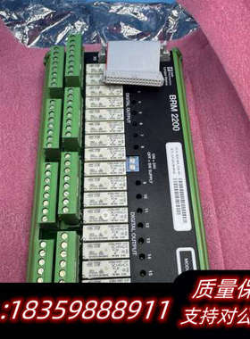 SAM BRM 2200数字输出模块，型号：BRM 22.询价