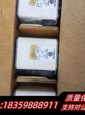 巴斯曼熔断器170M5289  800A1250V  2询价
