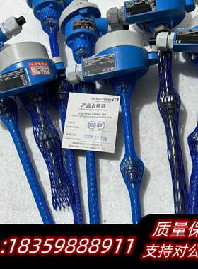 E+H  D-87484恩德斯豪斯PT100热电阻TMT18询价