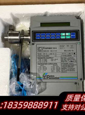 意大利Pietro Fiorentini 菲奥 天然气体积修.询价