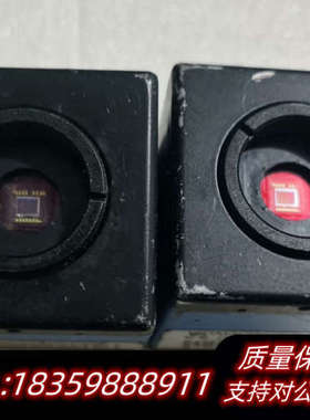 IMAGNGSOURCE映美精 DFK 21BF04 彩色.询价