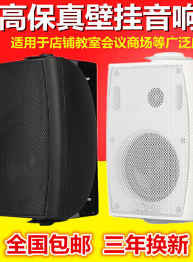 教室展厅商用酒吧饭店墙壁音箱
