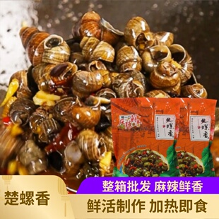 楚螺香麻辣田螺加热即食熟冻田螺整箱嗦一口餐饮螺丝嗦螺饭店商用