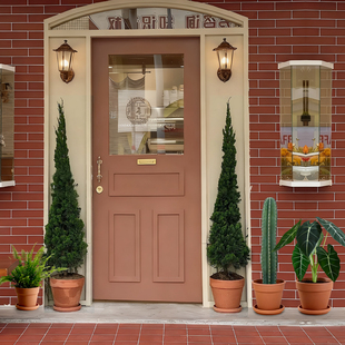 龙柏盆栽扁柏塔松树苗室内外客厅庭院花园别墅造景大型绿植好养活