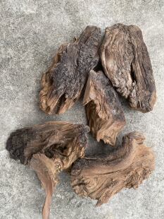 品名:雷击板根重度焦碳化