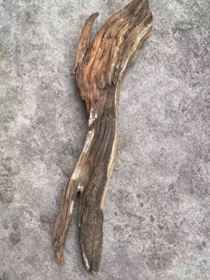 品名【雷击板根】白粉泥膏整体碳化