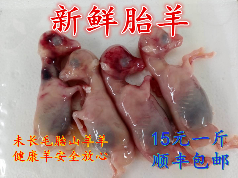 新鲜胎羊乳羊现宰新鲜未长毛乳羊羔羊烧烤专用整只胎羊0.5-2斤