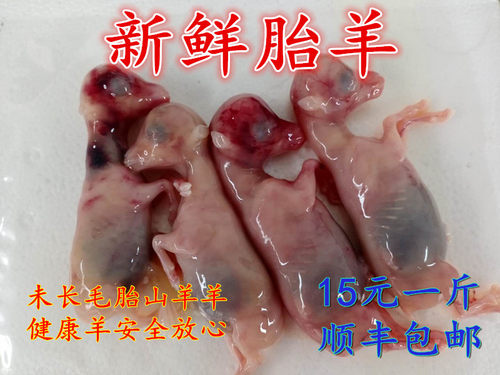 新鲜胎羊乳羊现宰新鲜未长毛乳羊羔羊烧烤专用整只胎羊0.5-2斤