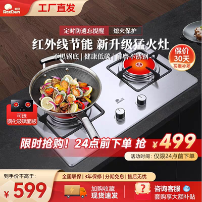 红日红外线燃气灶煤气灶天然气液化气不锈钢猛火定时双灶 EM208G