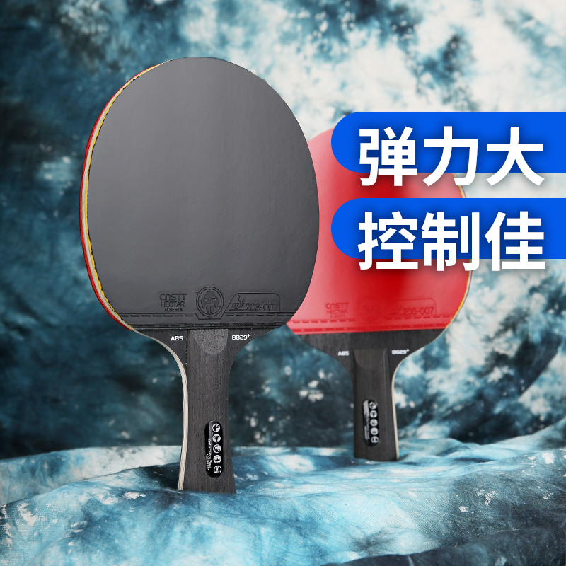 CnsTT乒乓球拍专业手工拍8829