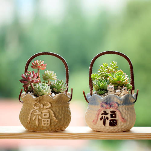新品福袋手提篮多肉花盆粗陶盆特价陶瓷室内肉肉小花盆清仓摆地摊