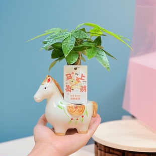 2026新款马到成功花盆手绘马花盆创意多肉花盆粗气陶瓷盆卡通盆