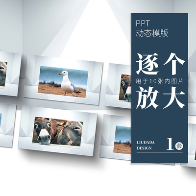 刘大大PPT丨10张图片以下可用轮播逐个依次放大展示动画模板素材