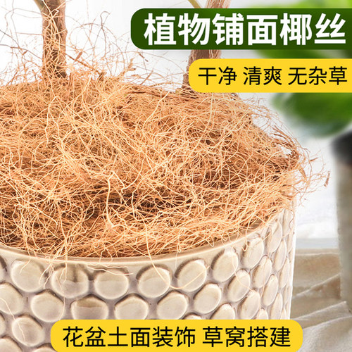 天然椰棕丝花盆铺面装饰
