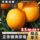 正宗赣南脐橙整箱5斤装 甜橙产地直发彩箱 精品大果新鲜水果当季