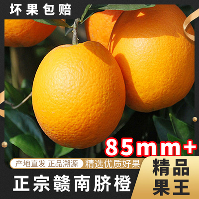 江西赣南脐橙精品大果