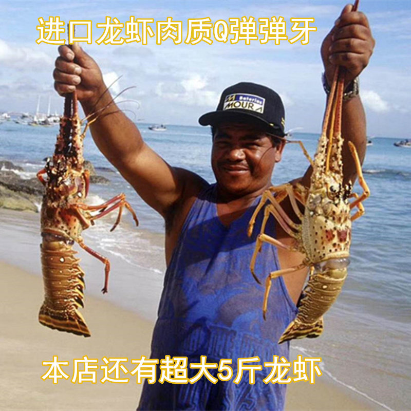 古巴龙虾澳洲龙虾鲜活大龙虾生冻龙虾波龙青龙