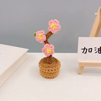 Мини -набор материалов для посадки из персикового цветочного горшка+Учебное пособие