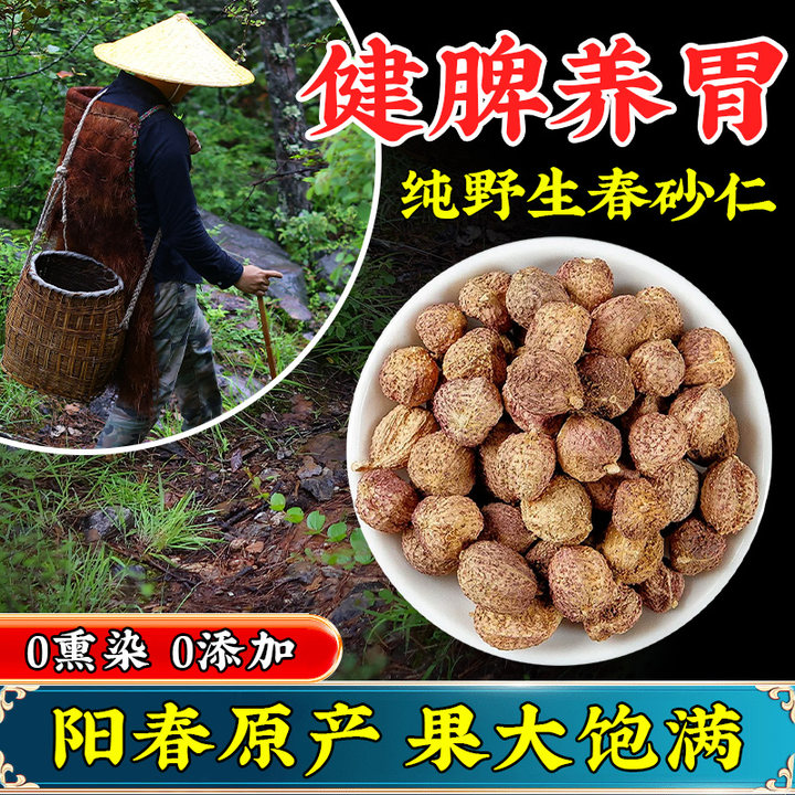 正宗阳春春砂仁大果养胃特产野生春砂仁500g正品新鲜货香粒饱满L