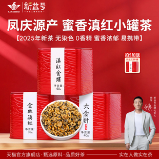 新益号滇红金螺小罐茶特级大金针散茶云南古树金芽红茶茶叶礼盒装