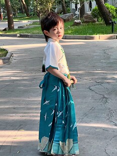 男童马面裙男宝汉服瑞鹤图中国风仙侠古装正版日常套装秋季演出服