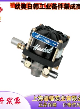 DSTV-B15 HASKEL 哈斯克尔 空气驱动液体泵