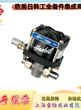 DSTV-150 HASKEL 哈斯克尔 空气驱动液体泵