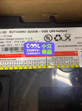 Rutter 100G2电池 RUT-02893