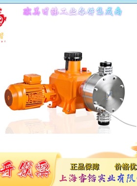 052208   ProMinent  Makro TZ 柱塞计量泵