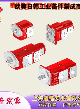 AP312HP/54 BUCHER 外啮合齿轮泵