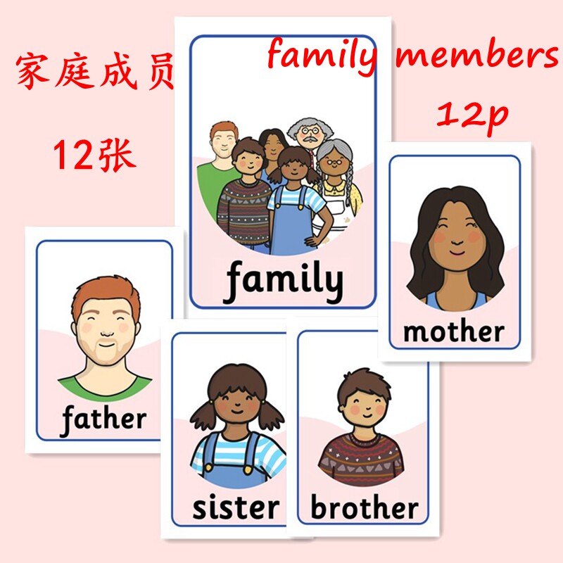 英语单词闪卡family members 家庭成员人物称呼早教启蒙教师教具