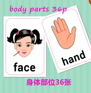 英语单词闪卡body parts身体部位五官认识身体卡早教英语教师教具