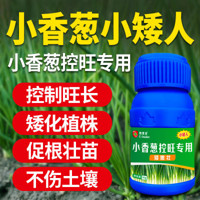 小香葱专用控旺药小矮人矮嫩壮防徒长旺长疯长促根壮苗肥料矮嫩剂