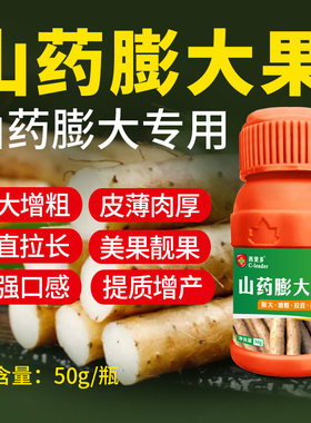 山药专用膨大素膨大剂膨果药拉直拉长增大增粗增产铁棍山药叶面肥
