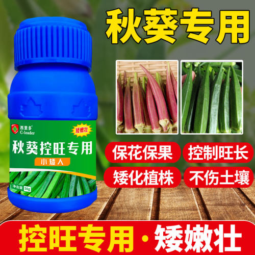秋葵专用控旺药羊角豆小矮人控制旺长徒长疯长膨大控秧抗倒矮壮剂