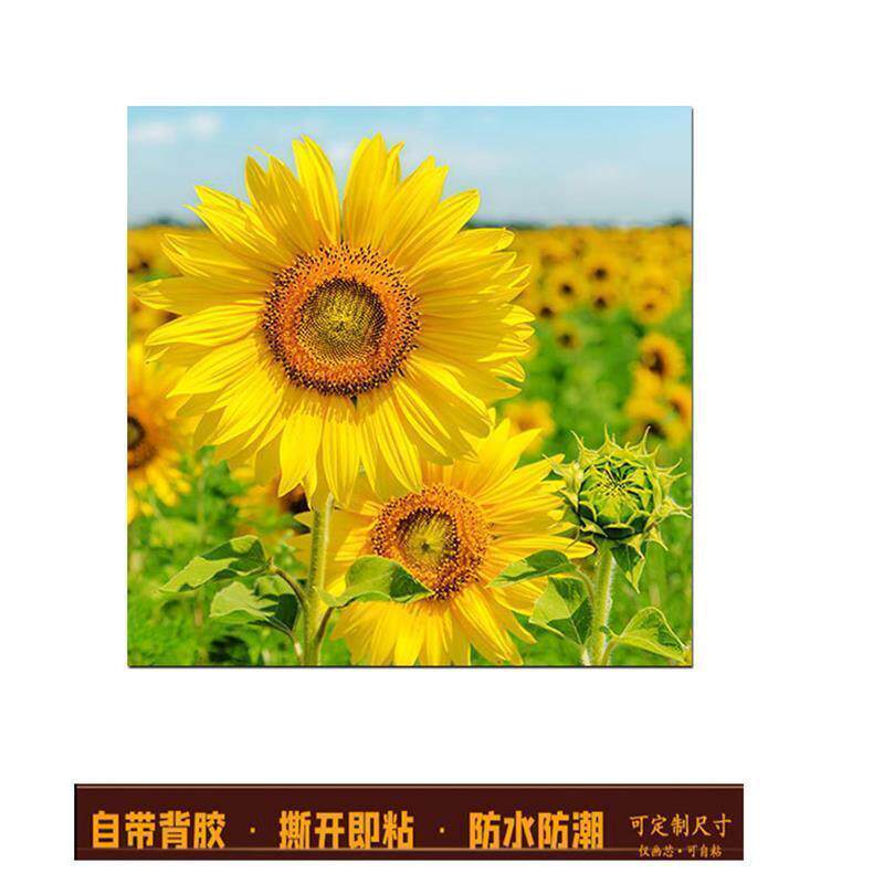 现代简约向日葵田园风景客厅自粘画玄关餐厅壁画花卉卧室大气贴画