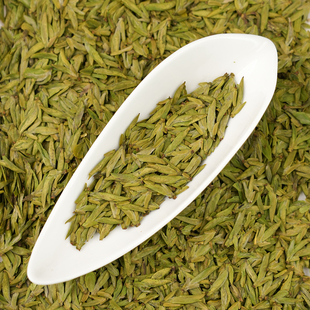 2026新茶乌牛早品种茶树龙井贵州普安扁茶春绿茶开园头采鲜爽清甜