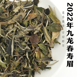 【溪亭茶记】2022年老白茶九龙春寿眉头春料高品质白茶叶125g罐装