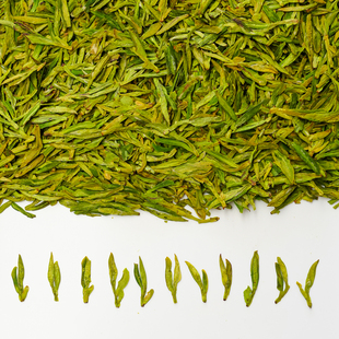 【溪亭茶记】2026新茶乌牛早明前龙形工艺扁茶板栗香绿茶口粮自喝