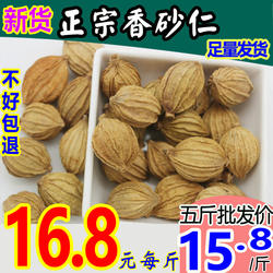 纯正云南四川香砂金莎仁香砂仁川砂仁砂500克250g包邮香料卤料真