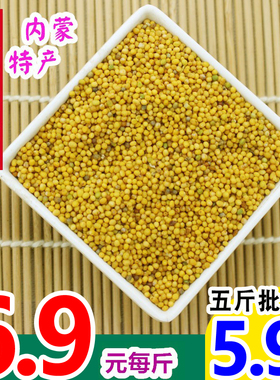 食用黄芥末籽黄芥末子今年新货纯正250g500克包邮品可现磨芥末粉