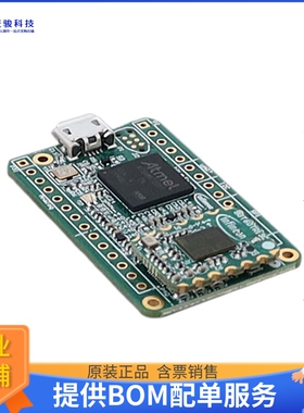 DEMOBGT60TR13CTOBO1【EVAL BOARD FOR BGT60TR13C】射频评估板